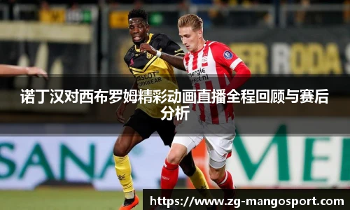 诺丁汉对西布罗姆精彩动画直播全程回顾与赛后分析